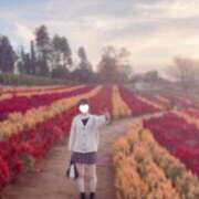 めい ぽかぽかの帰り道☺️ 俺のKissリフレ