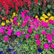 ヒメ日記 2025/12/18 15:59 投稿 あきら 即アポ奥さん～静岡店～