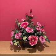 ヒメ日記 2026/01/29 07:39 投稿 あきら 即アポ奥さん～静岡店～