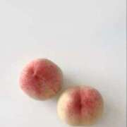 ヒメ日記 2025/09/04 13:21 投稿 桜 出会い系人妻ネットワーク札幌駅～大通り・すすきの編