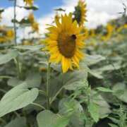 ヒメ日記 2025/08/20 10:42 投稿 なえ 人妻㊙︎倶楽部