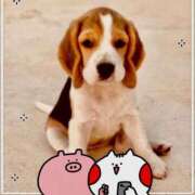 ヒメ日記 2025/08/21 11:22 投稿 なえ 人妻㊙︎倶楽部