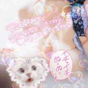 ヒメ日記 2025/10/18 01:50 投稿 なえ 人妻㊙︎倶楽部