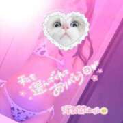 ヒメ日記 2025/11/01 03:20 投稿 なえ 人妻㊙︎倶楽部