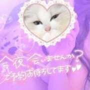 ヒメ日記 2025/11/18 23:01 投稿 なえ 人妻㊙︎倶楽部