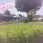 ヒメ日記 2026/07/12 10:20 投稿 なえ 人妻㊙︎倶楽部