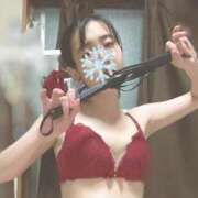 ヒメ日記 2025/12/28 13:03 投稿 なおみ C.C.CATS