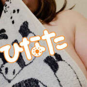 ヒメ日記 2025/08/19 04:05 投稿 ひなた 栃木宇都宮ちゃんこ