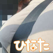 ヒメ日記 2025/09/02 14:25 投稿 ひなた 栃木宇都宮ちゃんこ