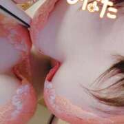 ヒメ日記 2025/09/19 11:55 投稿 ひなた 栃木宇都宮ちゃんこ