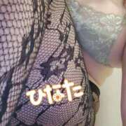 ヒメ日記 2025/10/14 03:25 投稿 ひなた 栃木宇都宮ちゃんこ