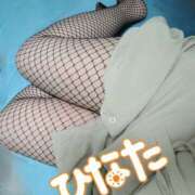 ヒメ日記 2025/10/19 16:35 投稿 ひなた 栃木宇都宮ちゃんこ