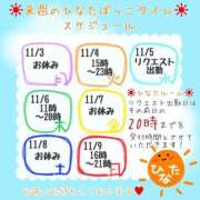 ヒメ日記 2025/10/28 07:35 投稿 ひなた 栃木宇都宮ちゃんこ