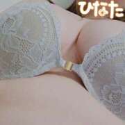 ヒメ日記 2025/10/28 12:07 投稿 ひなた 栃木宇都宮ちゃんこ