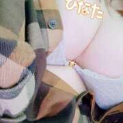 ヒメ日記 2025/11/04 07:45 投稿 ひなた 栃木宇都宮ちゃんこ