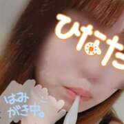 ヒメ日記 2025/11/06 10:05 投稿 ひなた 栃木宇都宮ちゃんこ