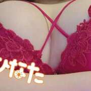 ヒメ日記 2025/11/10 16:45 投稿 ひなた 栃木宇都宮ちゃんこ