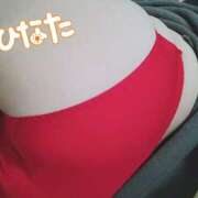 ヒメ日記 2025/11/11 09:55 投稿 ひなた 栃木宇都宮ちゃんこ