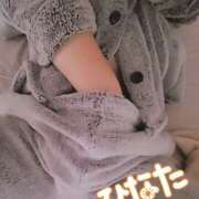 ヒメ日記 2025/11/12 10:05 投稿 ひなた 栃木宇都宮ちゃんこ