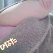 ヒメ日記 2025/11/13 13:55 投稿 ひなた 栃木宇都宮ちゃんこ