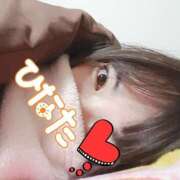 ヒメ日記 2025/11/16 09:05 投稿 ひなた 栃木宇都宮ちゃんこ