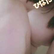 ヒメ日記 2025/11/18 12:05 投稿 ひなた 栃木宇都宮ちゃんこ