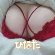 ヒメ日記 2025/11/21 18:56 投稿 ひなた 栃木宇都宮ちゃんこ