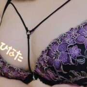 ヒメ日記 2025/11/28 17:25 投稿 ひなた 栃木宇都宮ちゃんこ