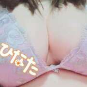 ヒメ日記 2025/11/30 07:15 投稿 ひなた 栃木宇都宮ちゃんこ