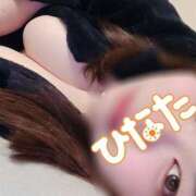 ヒメ日記 2025/12/14 07:45 投稿 ひなた 栃木宇都宮ちゃんこ