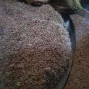 ヒメ日記 2025/12/22 23:15 投稿 ひなた 栃木宇都宮ちゃんこ