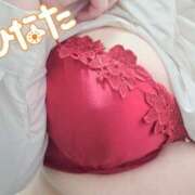 ヒメ日記 2026/03/23 17:45 投稿 ひなた 栃木宇都宮ちゃんこ