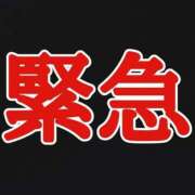 ヒメ日記 2026/06/05 18:45 投稿 ひなた 栃木宇都宮ちゃんこ