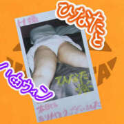 ヒメ日記 2026/10/03 16:05 投稿 ひなた 栃木宇都宮ちゃんこ