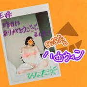 ヒメ日記 2026/10/12 07:05 投稿 ひなた 栃木宇都宮ちゃんこ