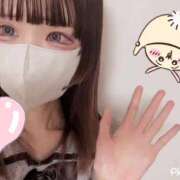 ヒメ日記 2025/11/13 11:23 投稿 つきな 横浜・関内サンキュー