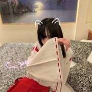 ヒメ日記 2025/12/12 11:22 投稿 つきな 横浜・関内サンキュー