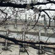 ヒメ日記 2026/03/20 16:05 投稿 れいな 熟女の風俗最終章 錦糸町店