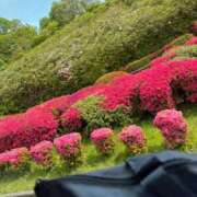 ヒメ日記 2026/04/19 15:46 投稿 れいな 熟女の風俗最終章 錦糸町店