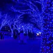 ヒメ日記 2025/12/08 23:11 投稿 かのん あふたーすくーる