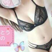 ヒメ日記 2026/02/14 10:03 投稿 ひなの 府中ダービー