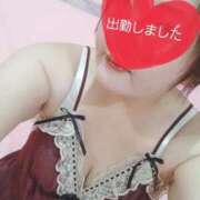 ヒメ日記 2025/11/22 17:24 投稿 春野りん しこたま奥様　熊本店