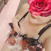 ヒメ日記 2025/12/30 14:04 投稿 春野りん しこたま奥様　熊本店