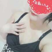 ヒメ日記 2026/01/17 17:04 投稿 春野りん しこたま奥様　熊本店