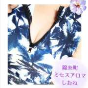 ヒメ日記 2025/08/26 09:28 投稿 しおね 錦糸町ミセスアロマ（ユメオト）