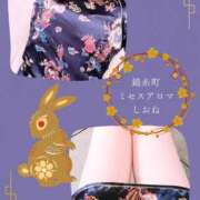 ヒメ日記 2025/09/01 23:25 投稿 しおね 錦糸町ミセスアロマ（ユメオト）