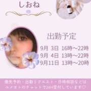 ヒメ日記 2025/09/03 12:23 投稿 しおね 錦糸町ミセスアロマ（ユメオト）