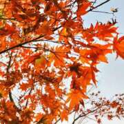 ヒメ日記 2025/10/24 13:10 投稿 しおね 錦糸町ミセスアロマ（ユメオト）