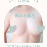 ヒメ日記 2025/10/30 13:02 投稿 しおね 錦糸町ミセスアロマ（ユメオト）