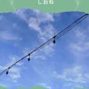 ヒメ日記 2025/11/11 16:27 投稿 しおね 錦糸町ミセスアロマ（ユメオト）